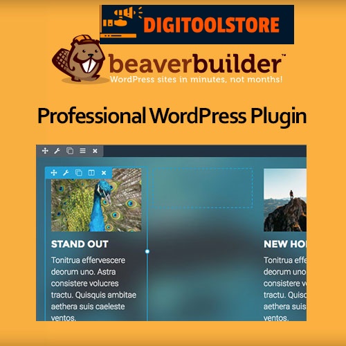 Beaver Builder Professional WordPress Plugin